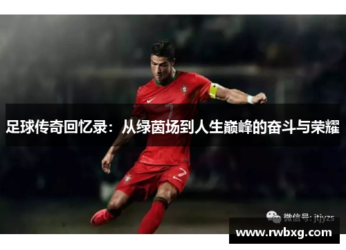 足球传奇回忆录：从绿茵场到人生巅峰的奋斗与荣耀